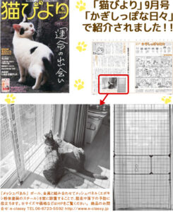 雑誌　猫びより　で「猫の転落・脱走防止 メッシュパネルセット」が紹介されました