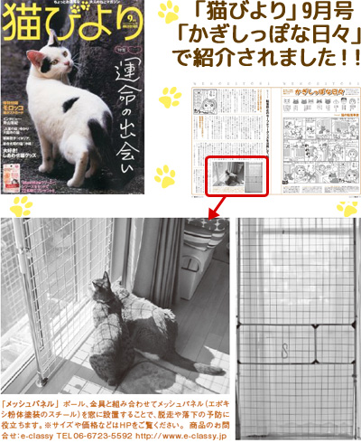 雑誌　猫びより　で「猫の転落・脱走防止 メッシュパネルセット」が紹介されました