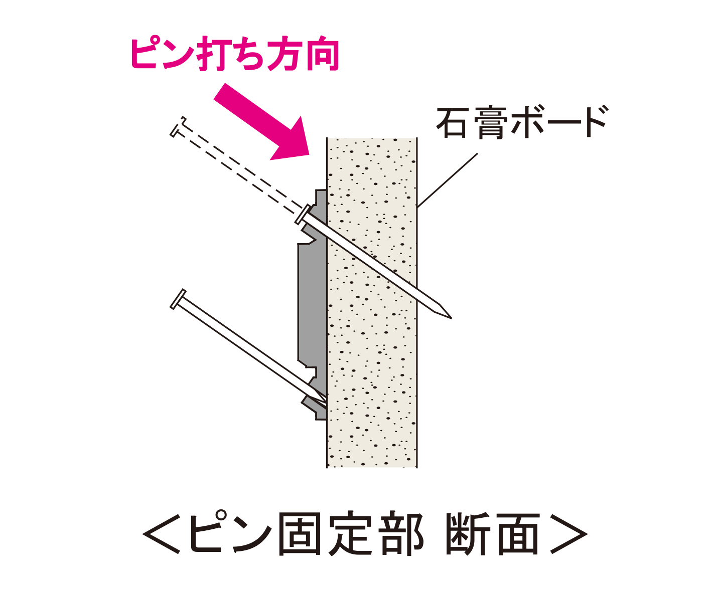 ピン固定部 断面