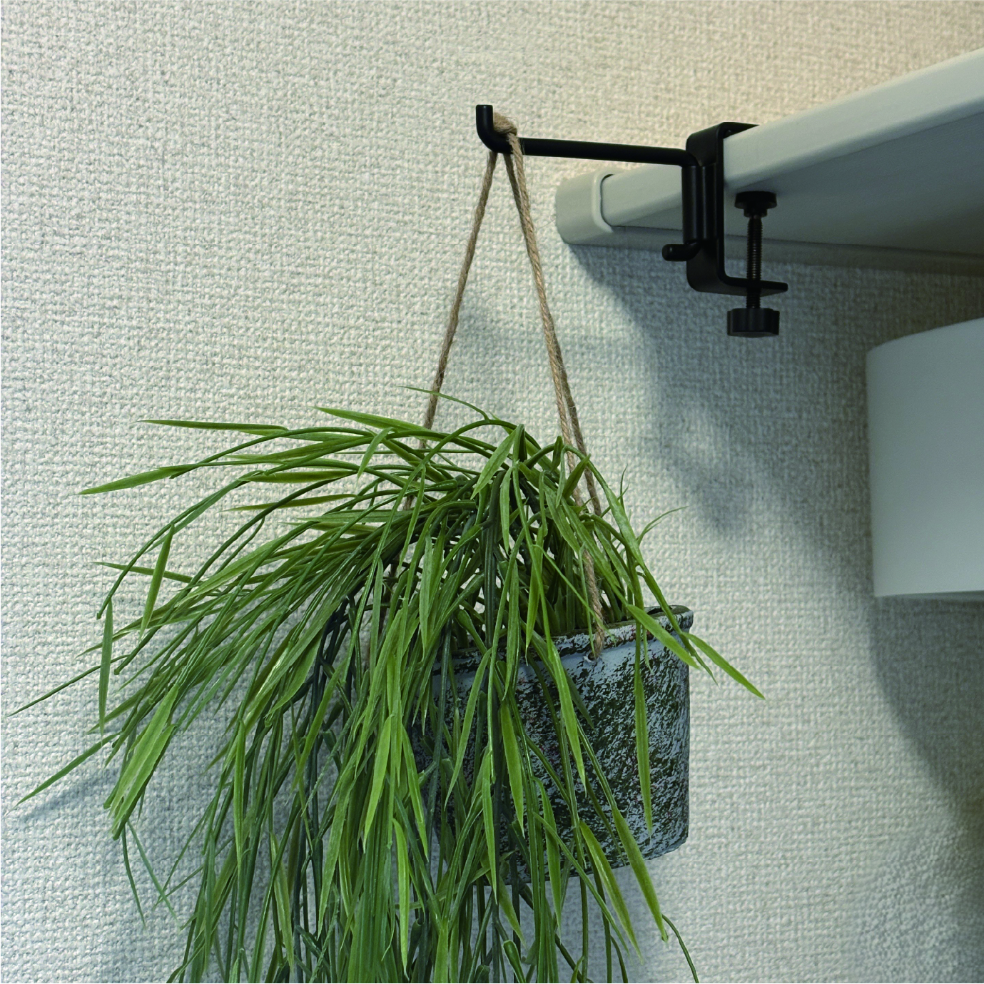 観葉植物使用例